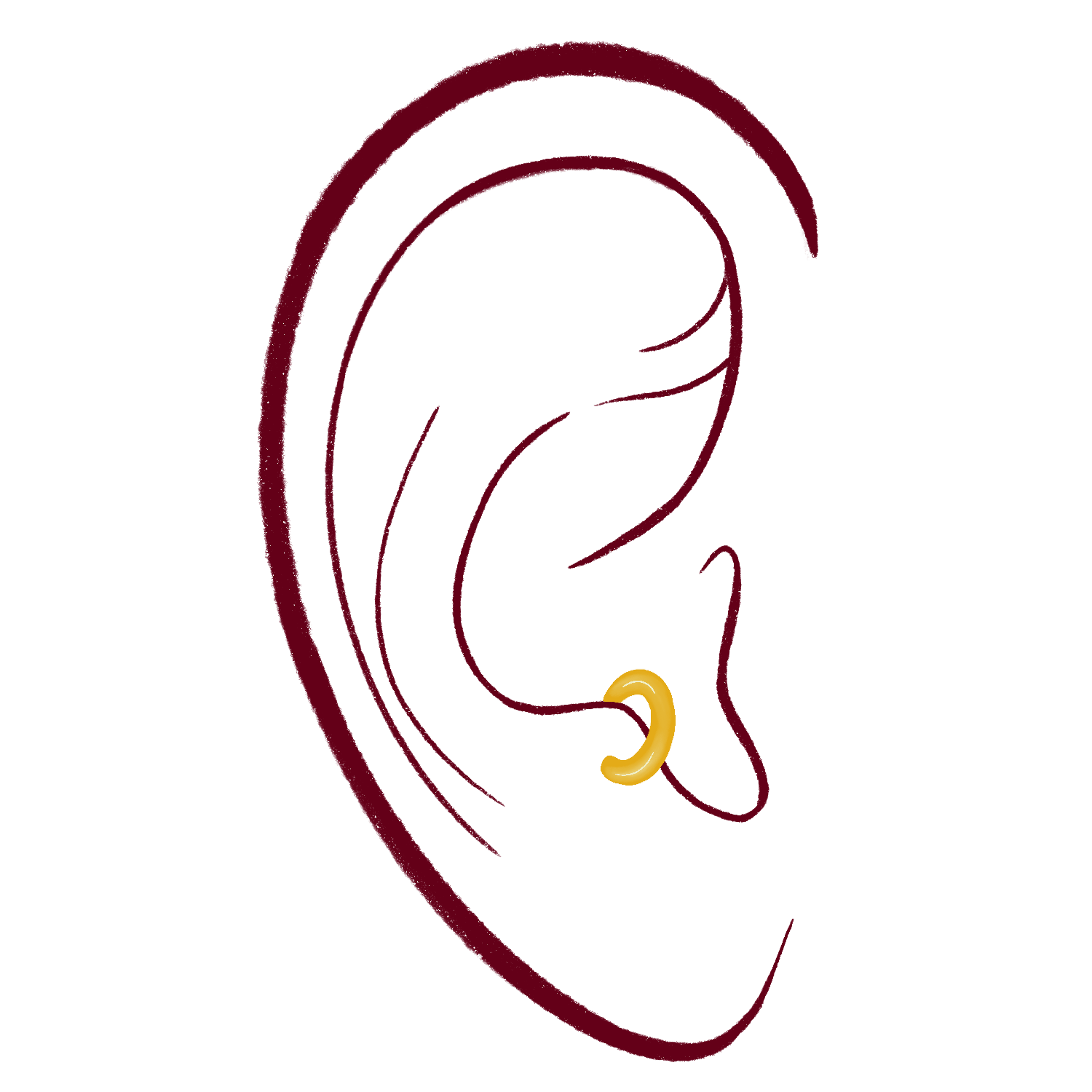 Anti-Tragus