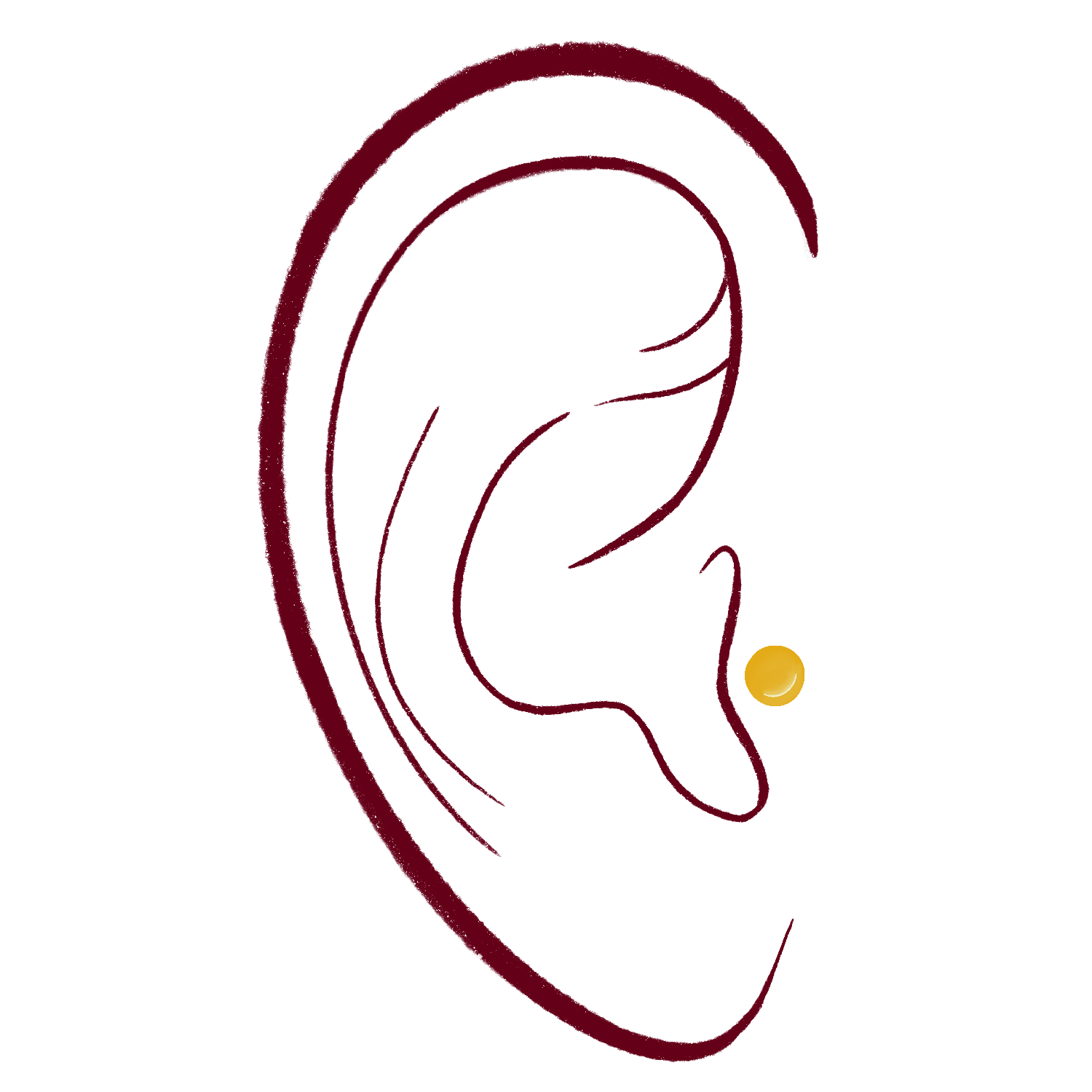 Tragus